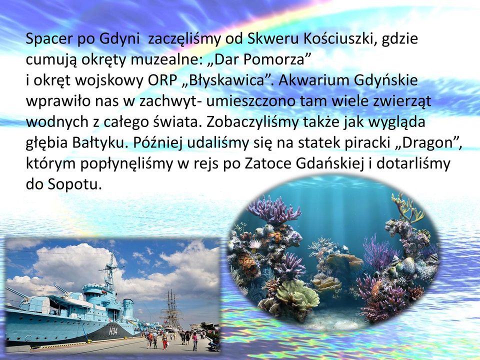 Akwarium Gdyńskie wprawiło nas w zachwyt- umieszczono tam wiele zwierząt wodnych z całego świata.