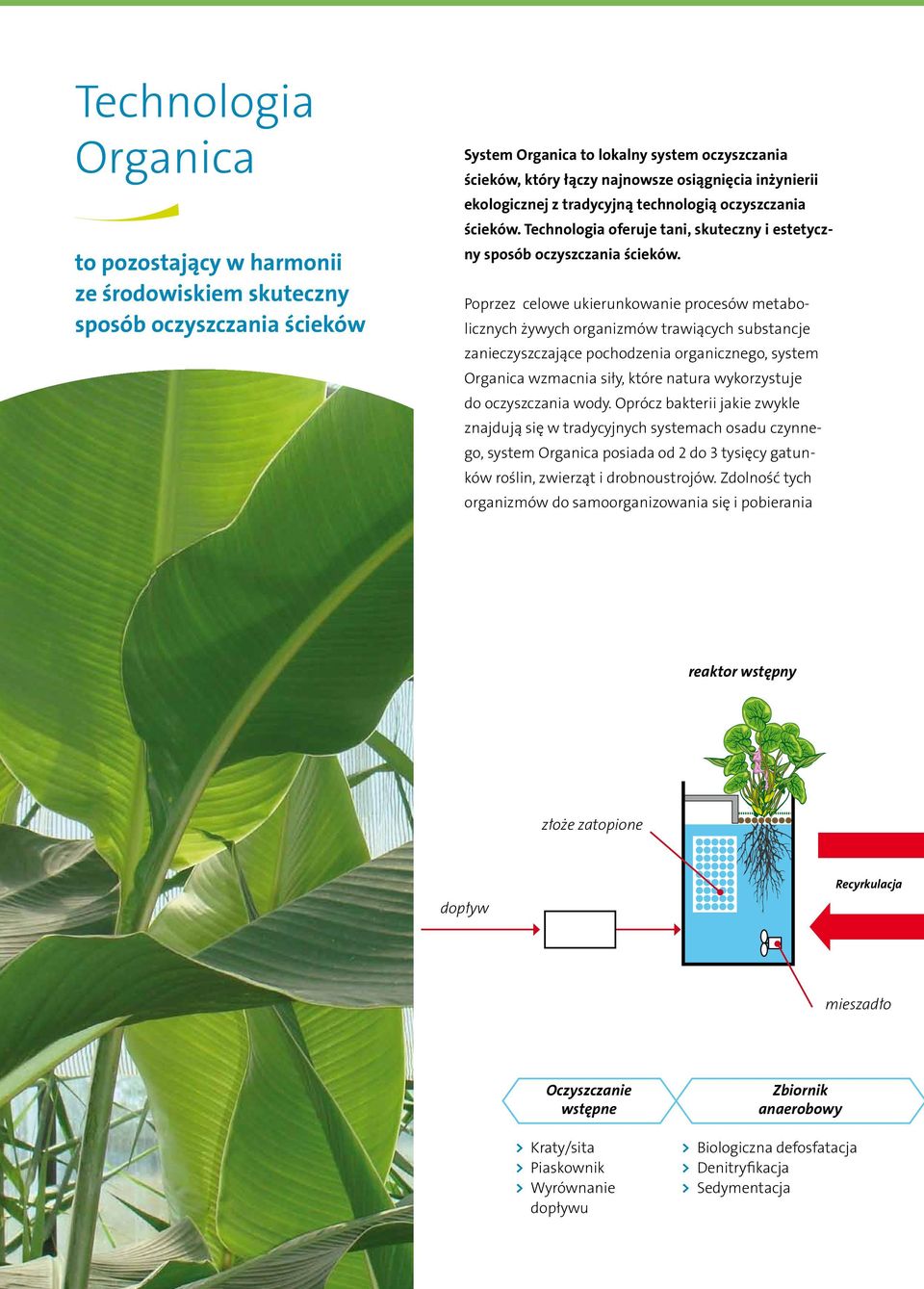 Poprzez celowe ukierunkowanie procesów metabolicznych żywych organizmów trawiących substancje zanieczyszczające pochodzenia organicznego, system Organica wzmacnia siły, które natura wykorzystuje do