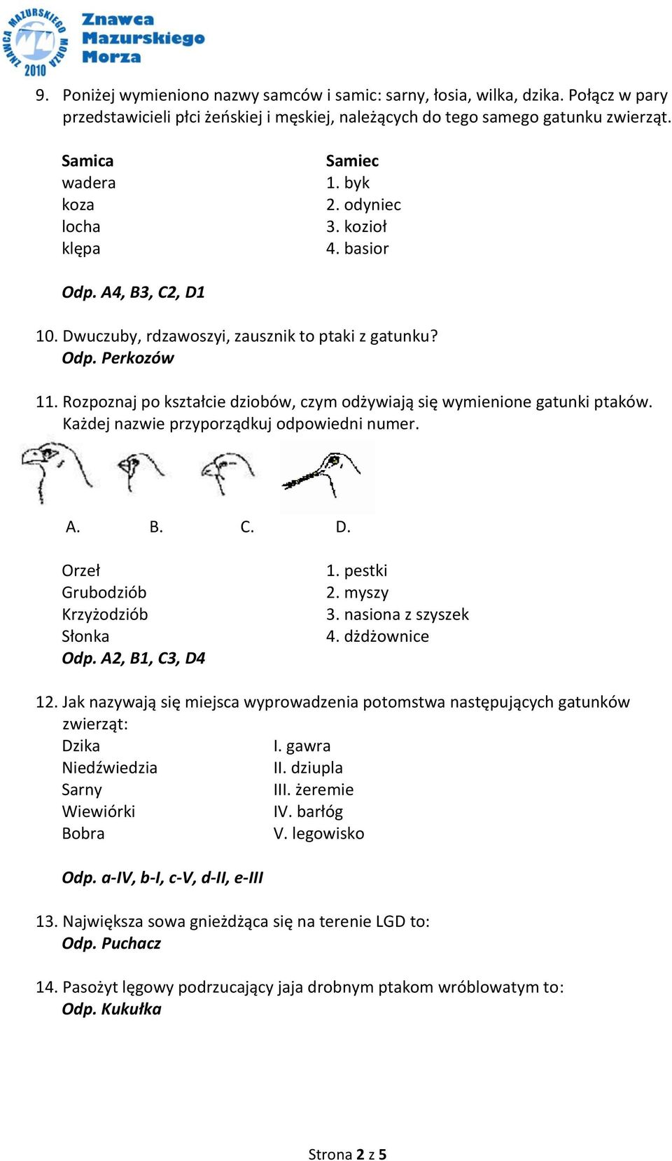 Rozpoznaj po kształcie dziobów, czym odżywiają się wymienione gatunki ptaków. Każdej nazwie przyporządkuj odpowiedni numer. A. B. C. D. Orzeł Grubodziób Krzyżodziób Słonka Odp. A2, B1, C3, D4 1.