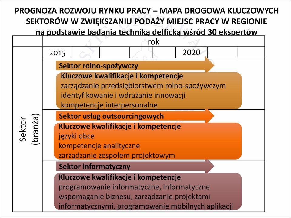 kompetencje interpersonalne Sektor usług outsourcingowych Kluczowe kwalifikacje i kompetencje języki obce kompetencje analityczne zarządzanie zespołem projektowym Sektor