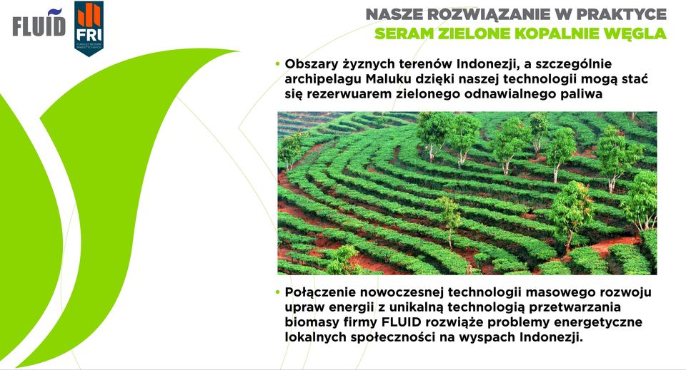 odnawialnego paliwa Połączenie nowoczesnej technologii masowego rozwoju upraw energii z unikalną