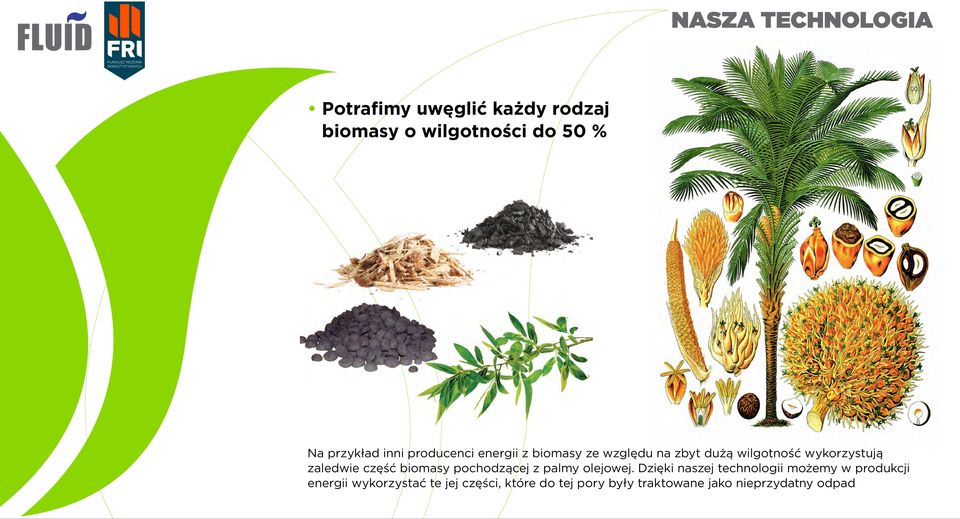 część biomasy pochodzącej z palmy olejowej.