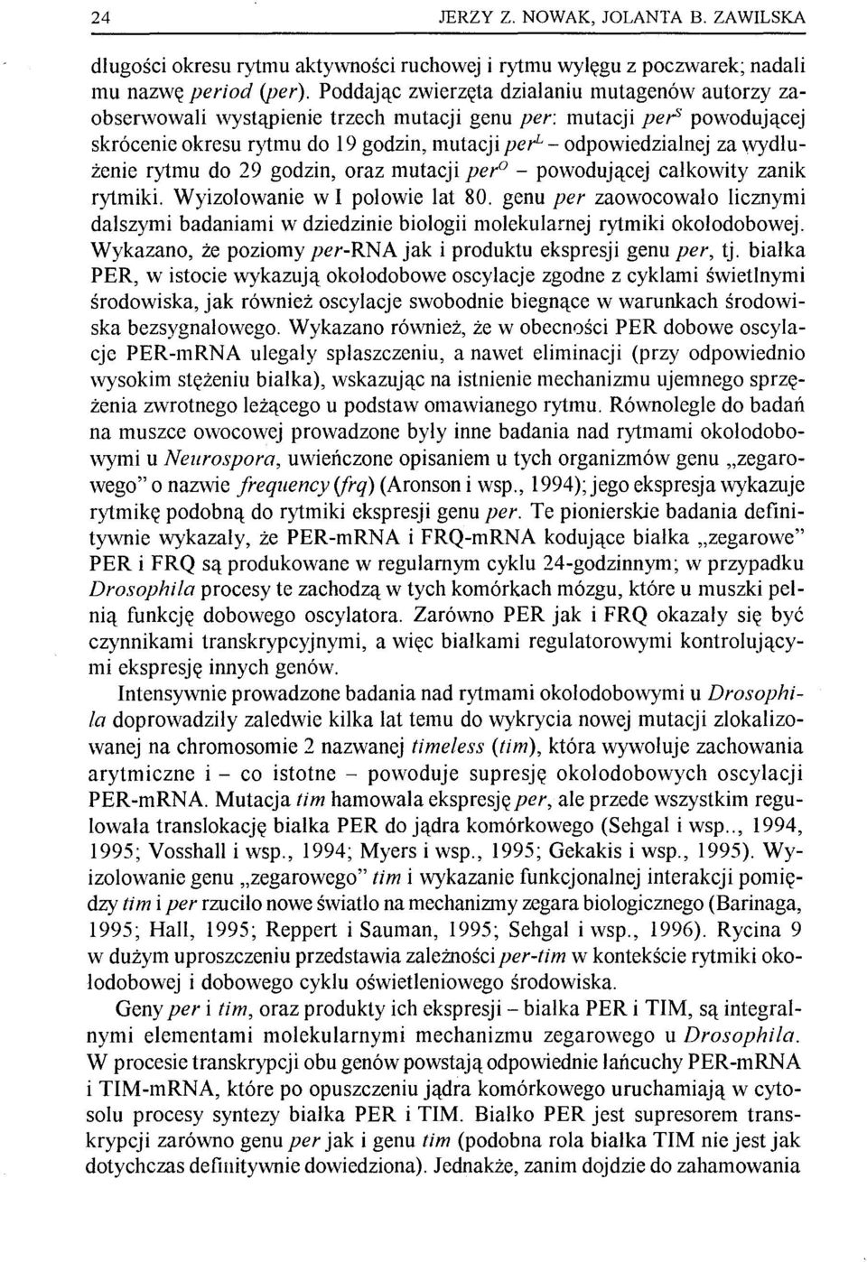 wydłużenie rytmu do 29 godzin, oraz mutacji per o - powodującej całkowity zanik rytmiki. Wyizolowanie w I polowie lat 80.