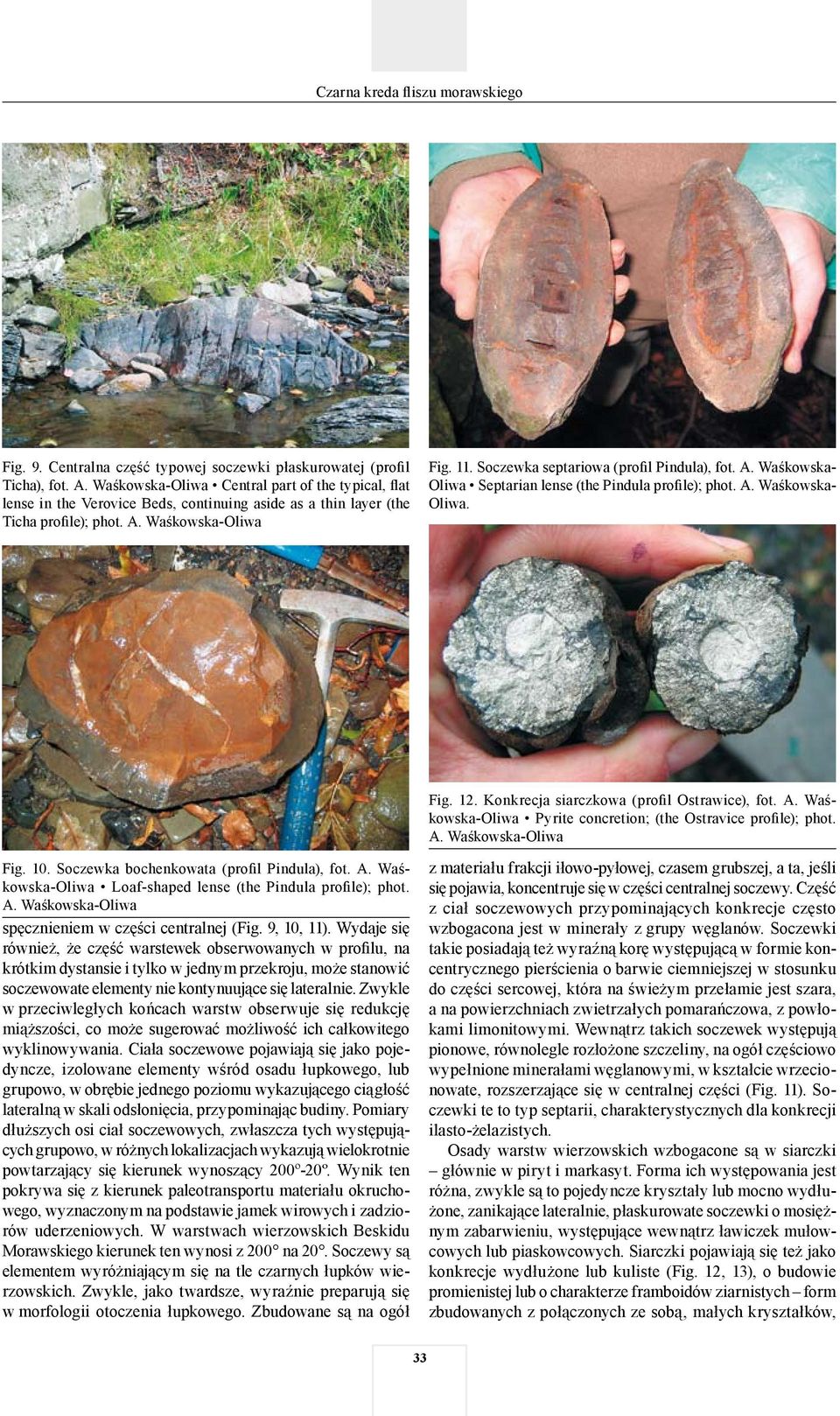 Pyrite concretion; (the Ostravice profile); phot. Fig. 10. Soczewka bochenkowata (profil Pindula), fot. Loaf-shaped lense (the Pindula profile); phot. spęcznieniem w części centralnej (Fig.