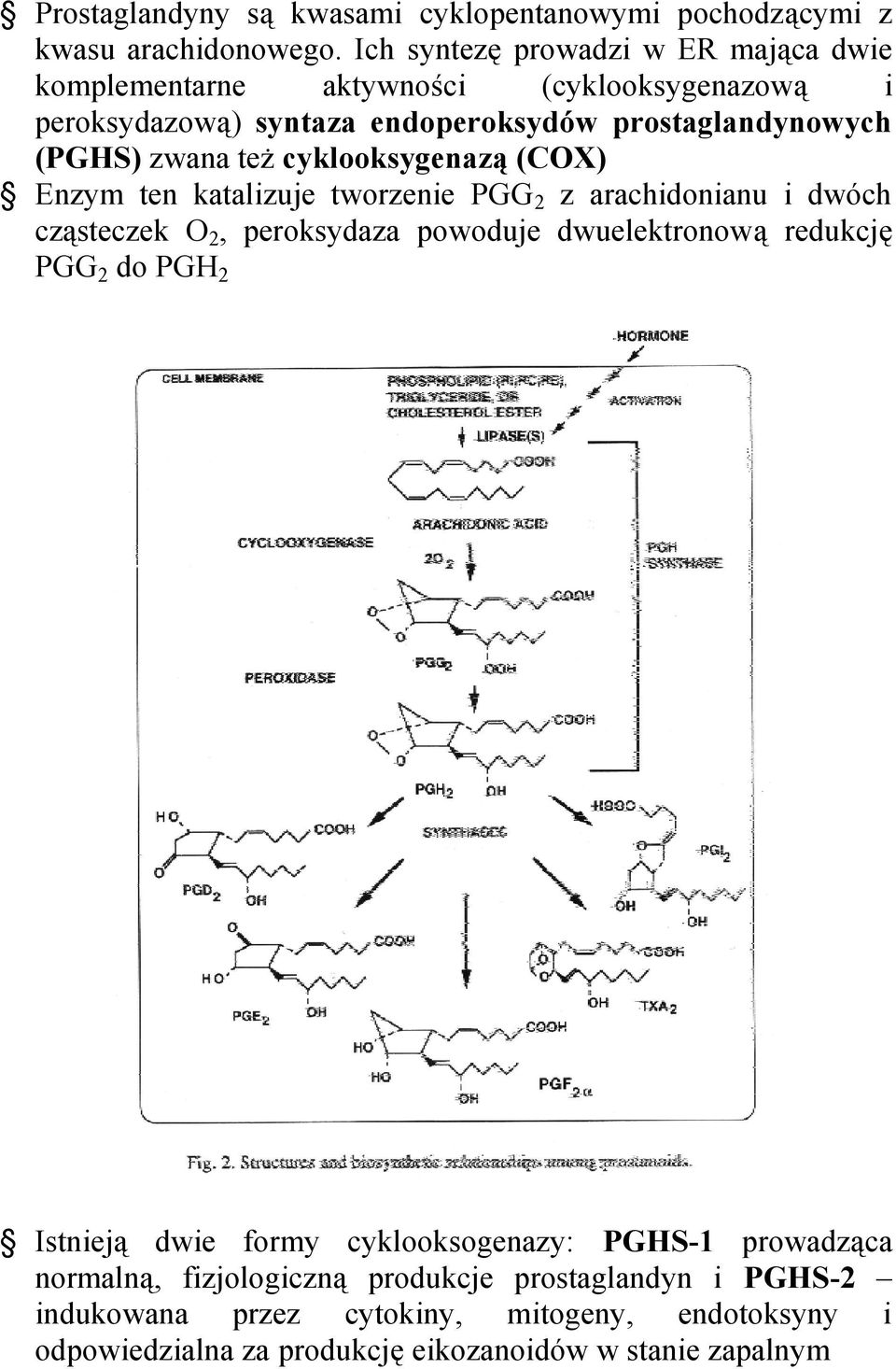 też cyklooksygenazą (COX) Enzym ten katalizuje tworzenie PGG 2 z arachidonianu i dwóch cząsteczek O 2, peroksydaza powoduje dwuelektronową redukcję PGG 2