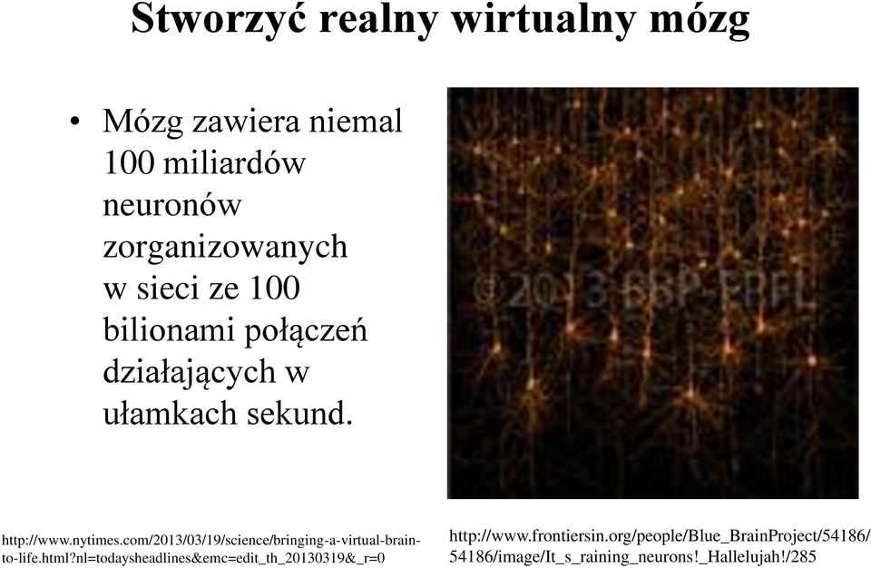 com/2013/03/19/science/bringing-a-virtual-brainto-life.html?