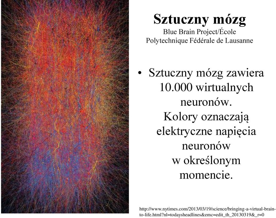 Kolory oznaczają elektryczne napięcia neuronów w określonym momencie.