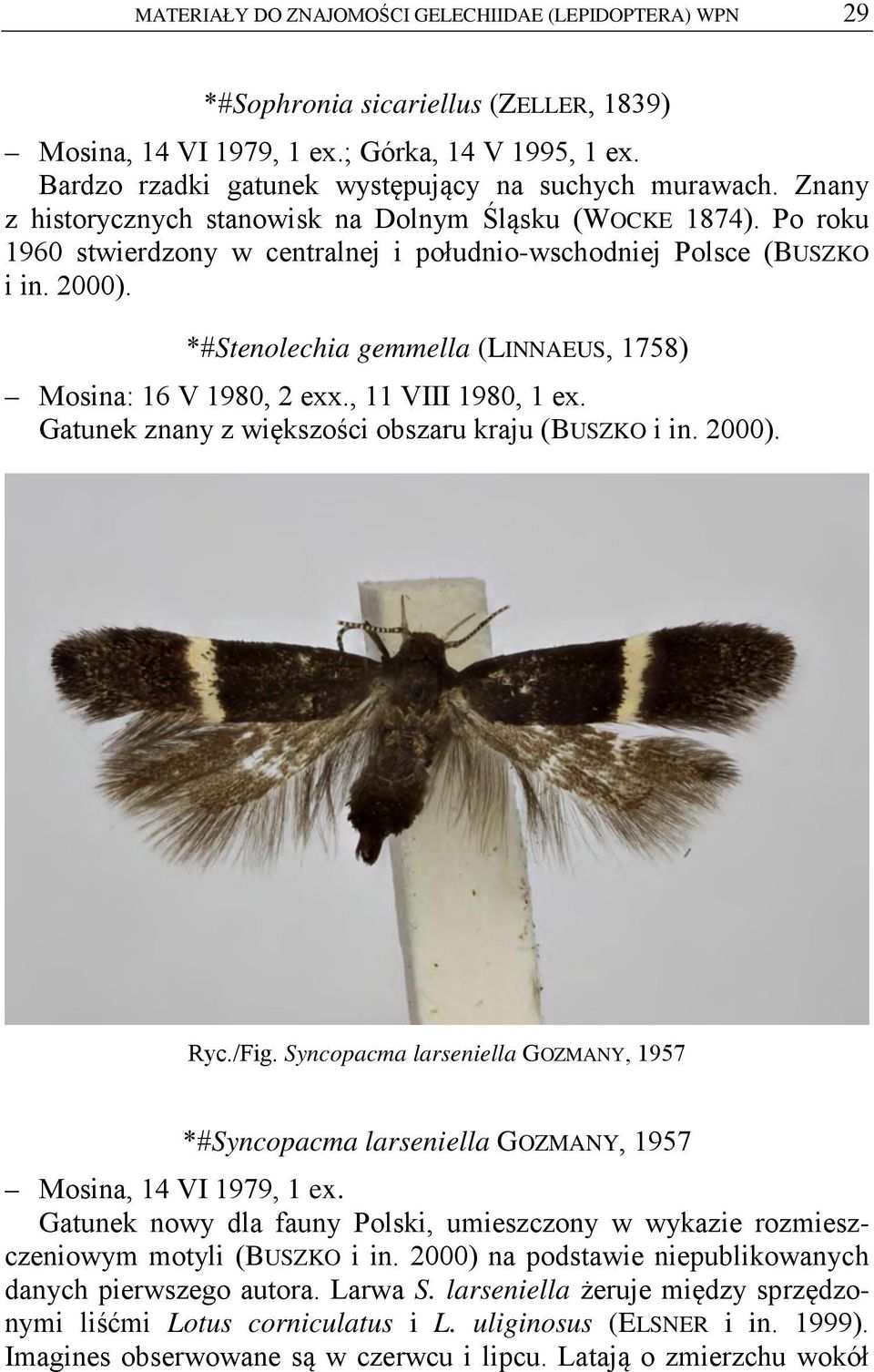 *#Stenolechia gemmella (LINNAEUS, 1758) Mosina: 16 V 1980, 2 exx., 11 VIII 1980, 1 ex. Gatunek znany z większości obszaru kraju (BUSZKO i in. Ryc./Fig.