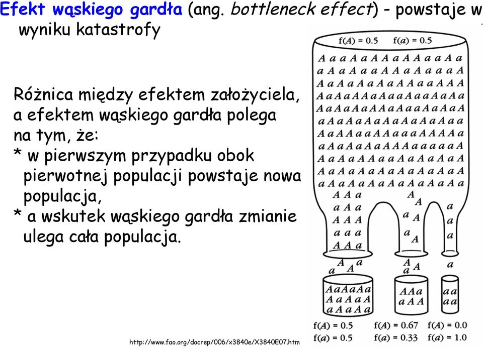 a efektem wąskiego gardła polega na tym, że: * w pierwszym przypadku obok pierwotnej