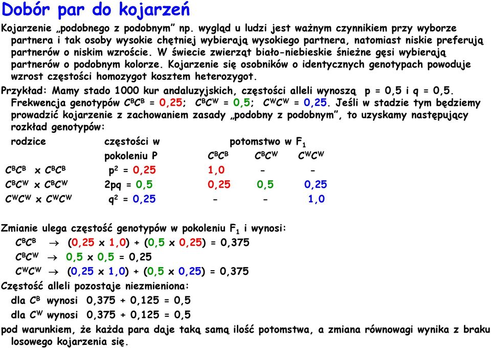 W świecie zwierząt biało-niebieskie śnieżne gęsi wybierają partnerów o podobnym kolorze. Kojarzenie się osobników o identycznych genotypach powoduje wzrost częstości homozygot kosztem heterozygot.