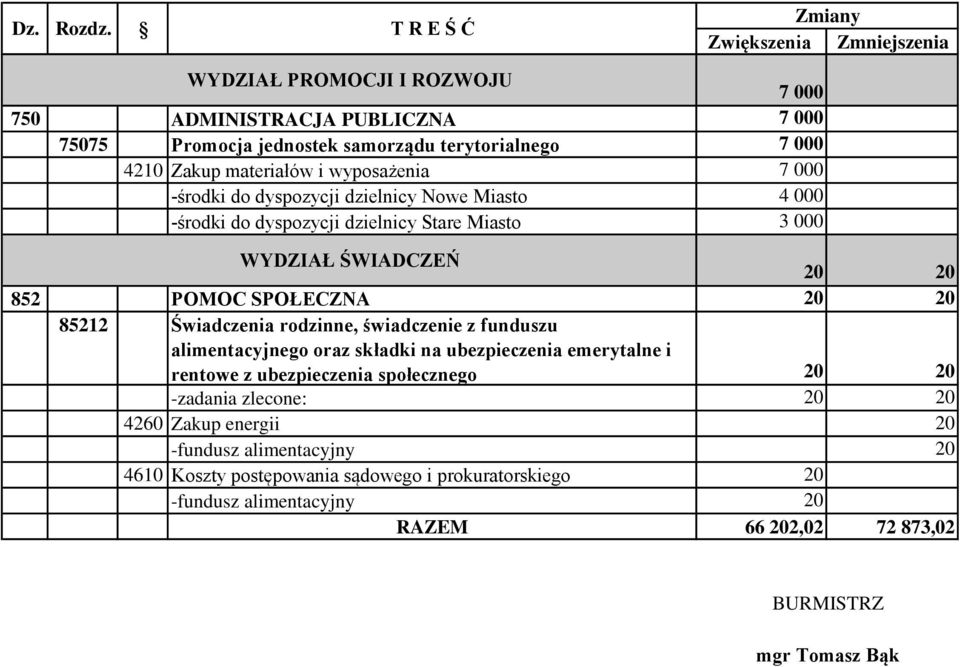 wyposażenia 7 000 -środki do dyspozycji dzielnicy Nowe Miasto 4 000 -środki do dyspozycji dzielnicy Stare Miasto 3 000 WYDZIAŁ ŚWIADCZEŃ 20 20 852 POMOC SPOŁECZNA 20