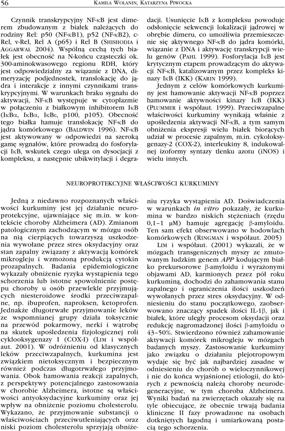 300-aminokwasowego regionu RDH, który jest odpowiedzialny za wiązanie z DNA, dimeryzację podjednostek, translokację do jądra i interakcje z innymi czynnikami transkrypcyjnymi.