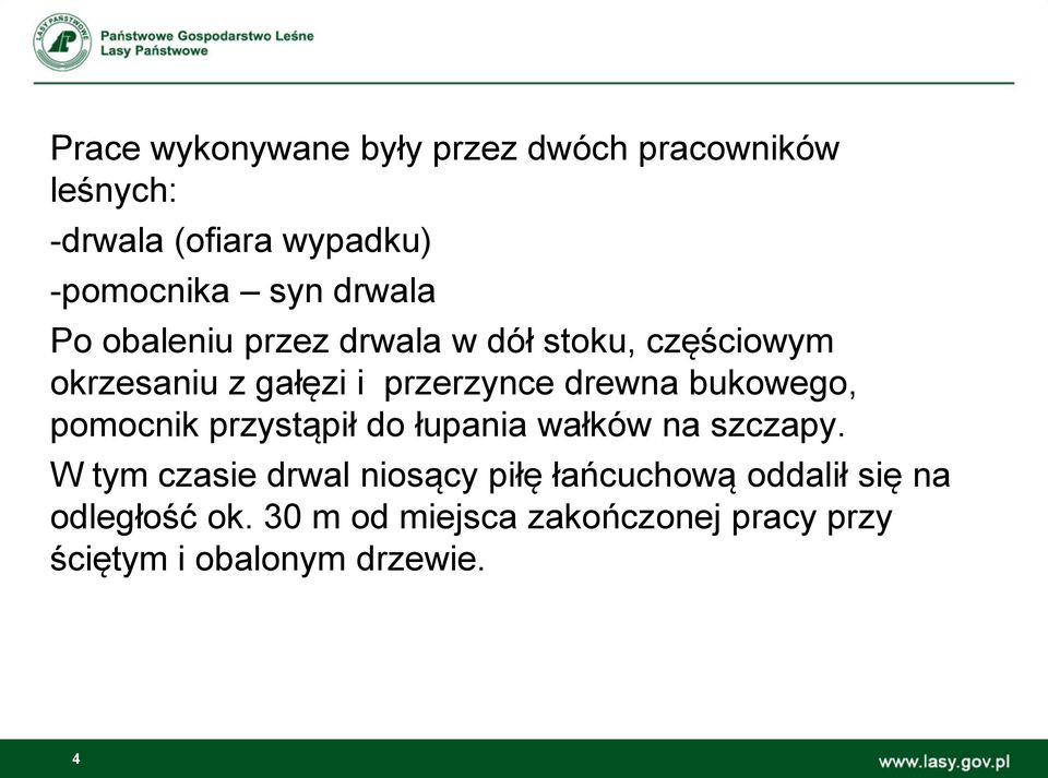 bukowego, pomocnik przystąpił do łupania wałków na szczapy.