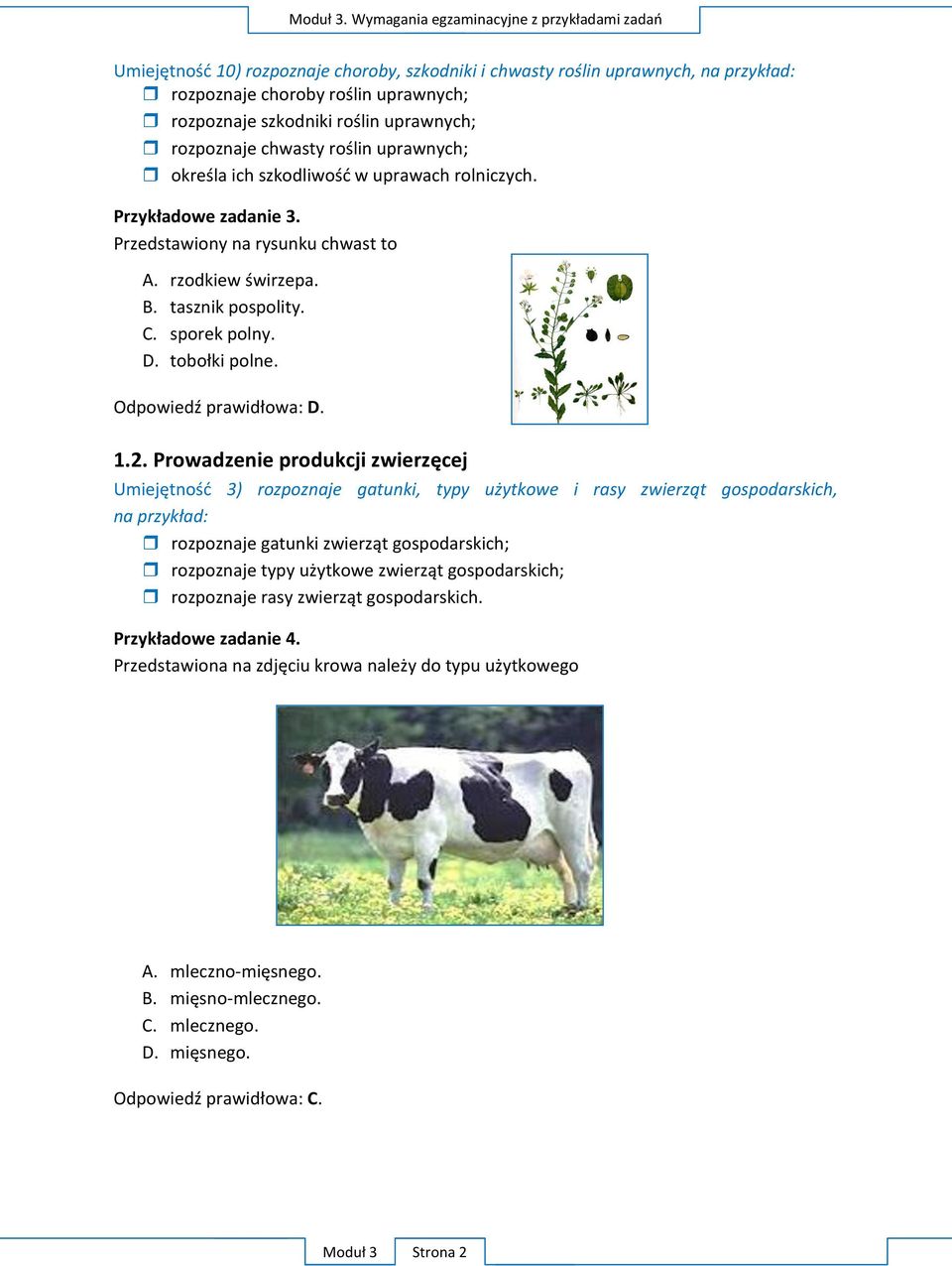 tasznik pospolity. C. sporek polny. D.. O D.