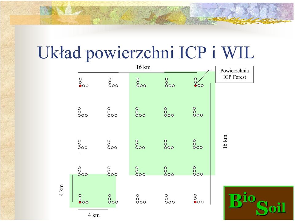 Powierzchnia ICP