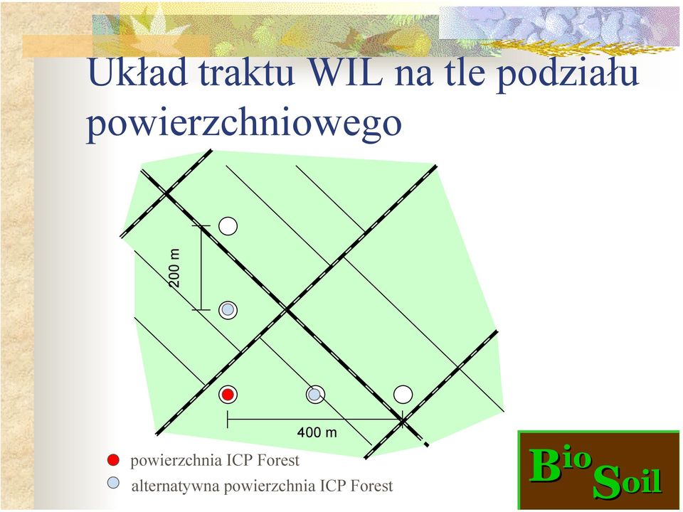 m powierzchnia ICP Forest 400