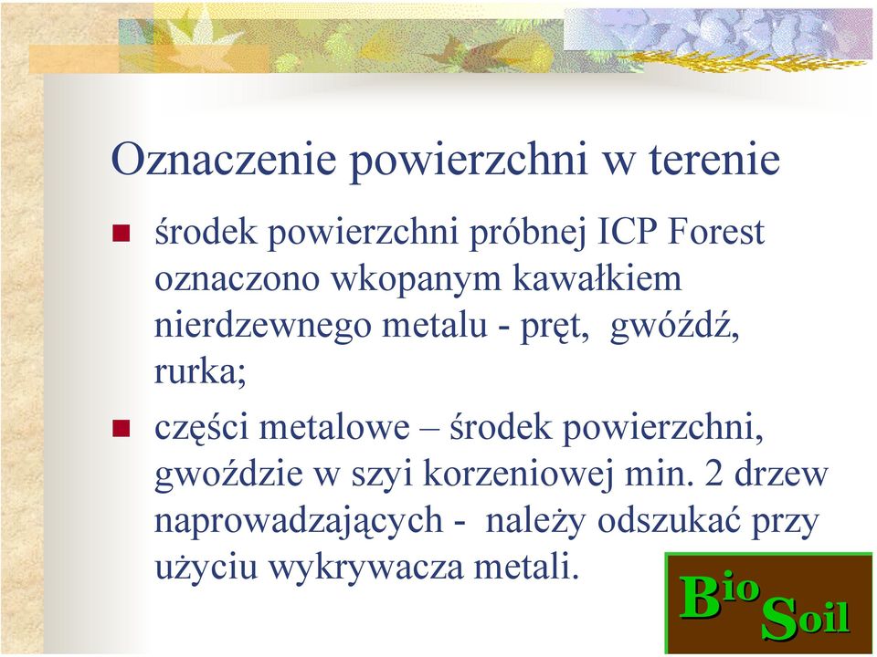 części metalowe środek powierzchni, gwoździe w szyi korzeniowej min.