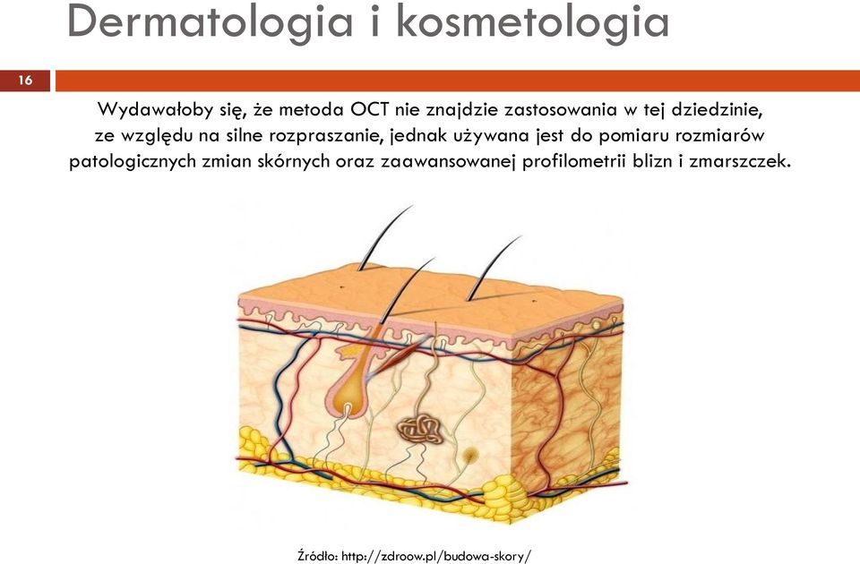 używana jest do pomiaru rozmiarów patologicznych zmian skórnych oraz