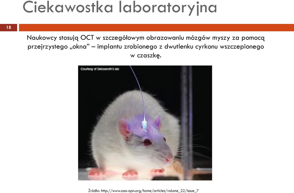 okna implantu zrobionego z dwutlenku cyrkonu wszczepionego w