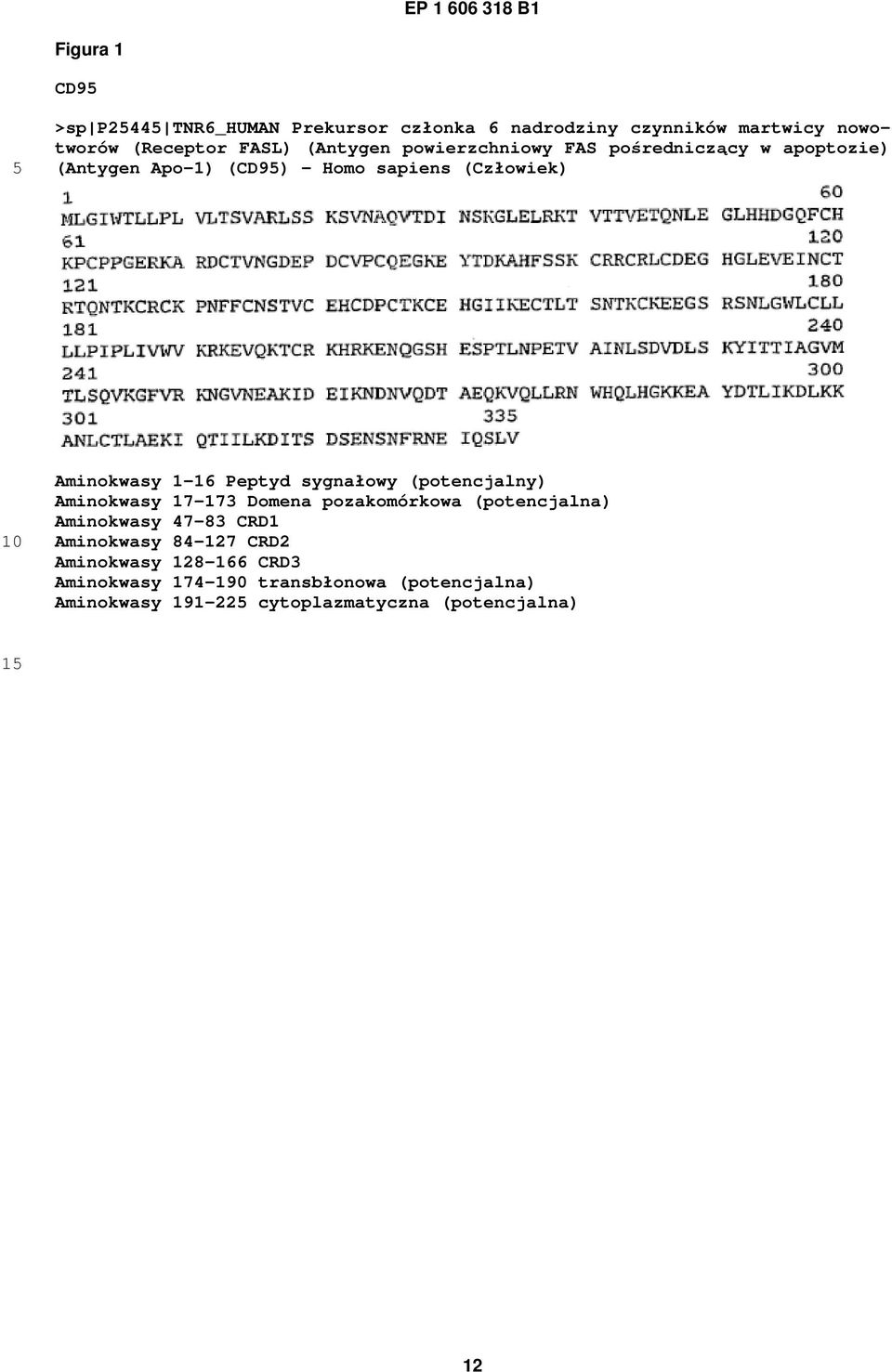 sygnałowy (potencjalny) Aminokwasy 17-173 Domena pozakomórkowa (potencjalna) Aminokwasy 47-83 CRD1 Aminokwasy 84-127