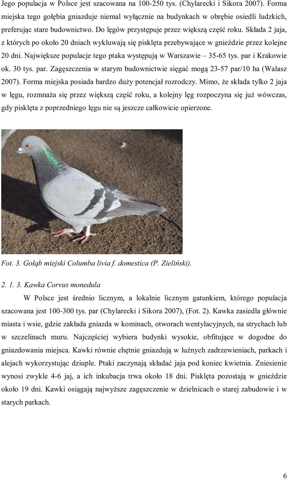 Składa 2 jaja, z których po około 20 dniach wykluwają się pisklęta przebywające w gnieździe przez kolejne 20 dni. Największe populacje tego ptaka występują w Warszawie 35-65 tys. par i Krakowie ok.