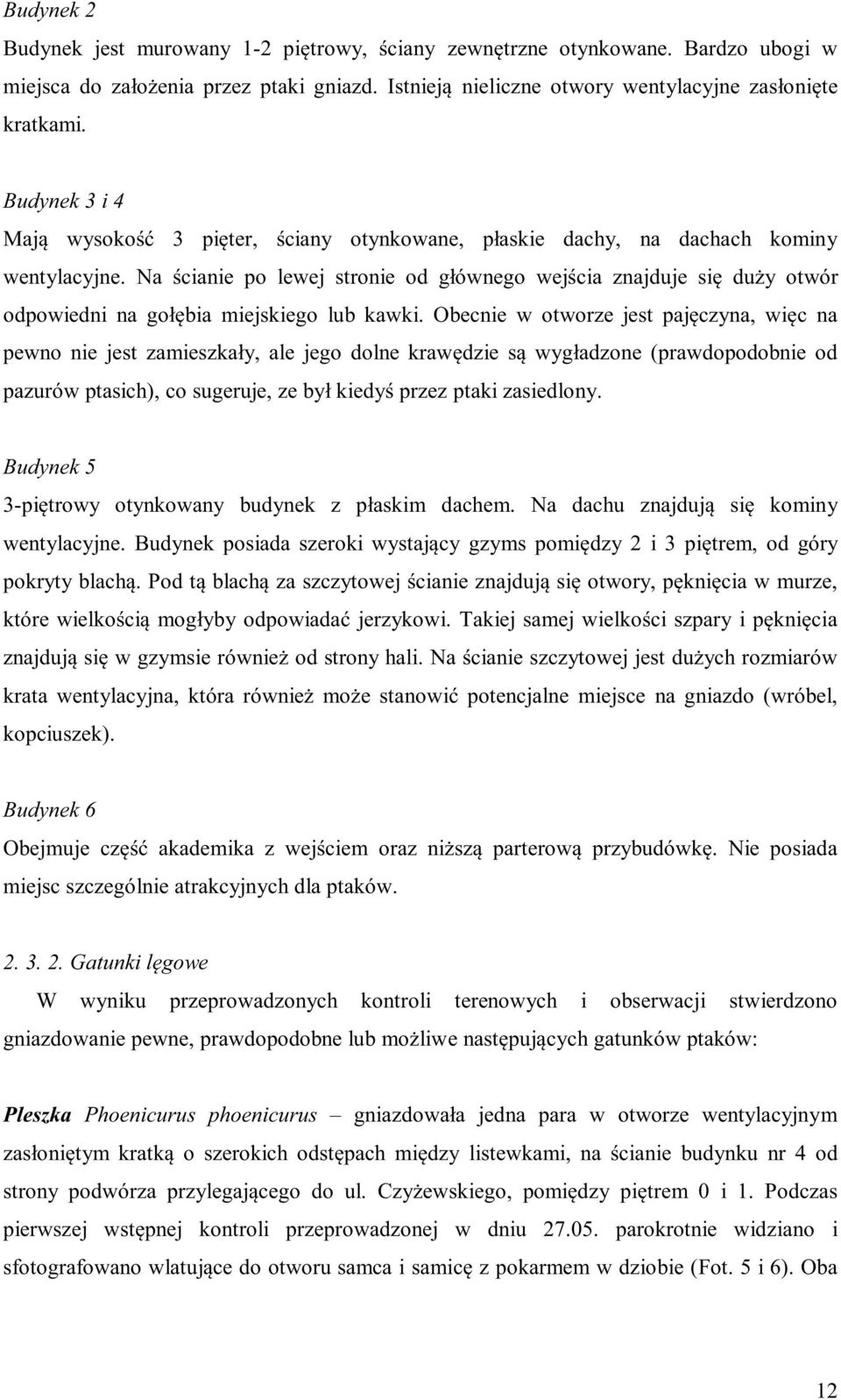 Na ścianie po lewej stronie od głównego wejścia znajduje się duży otwór odpowiedni na gołębia miejskiego lub kawki.