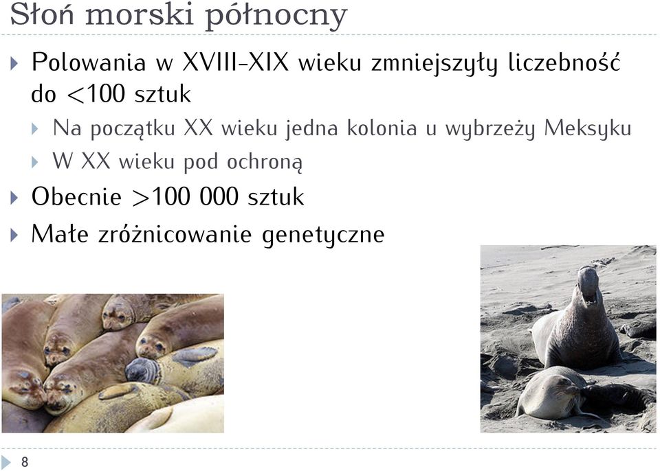 wieku jedna kolonia u wybrzeży Meksyku } W XX wieku pod