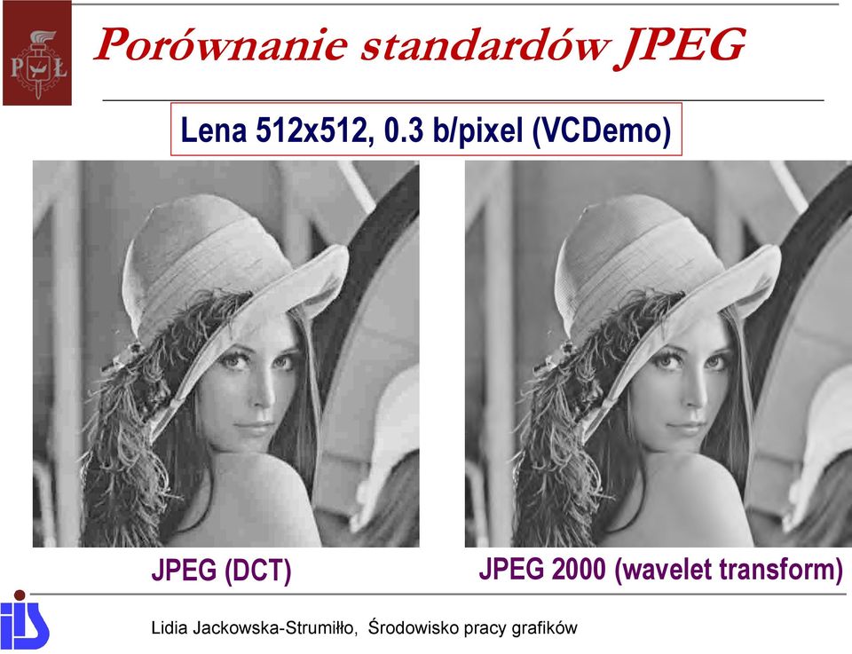 3 b/pixel (VCDemo) JPEG