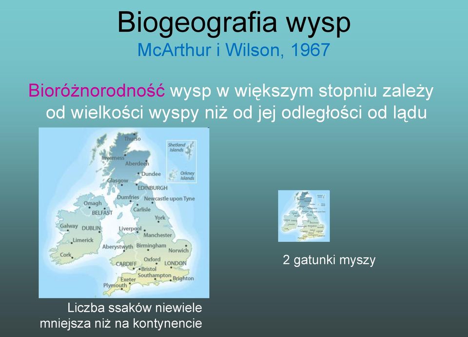 wielkości wyspy niż od jej odległości od lądu 2