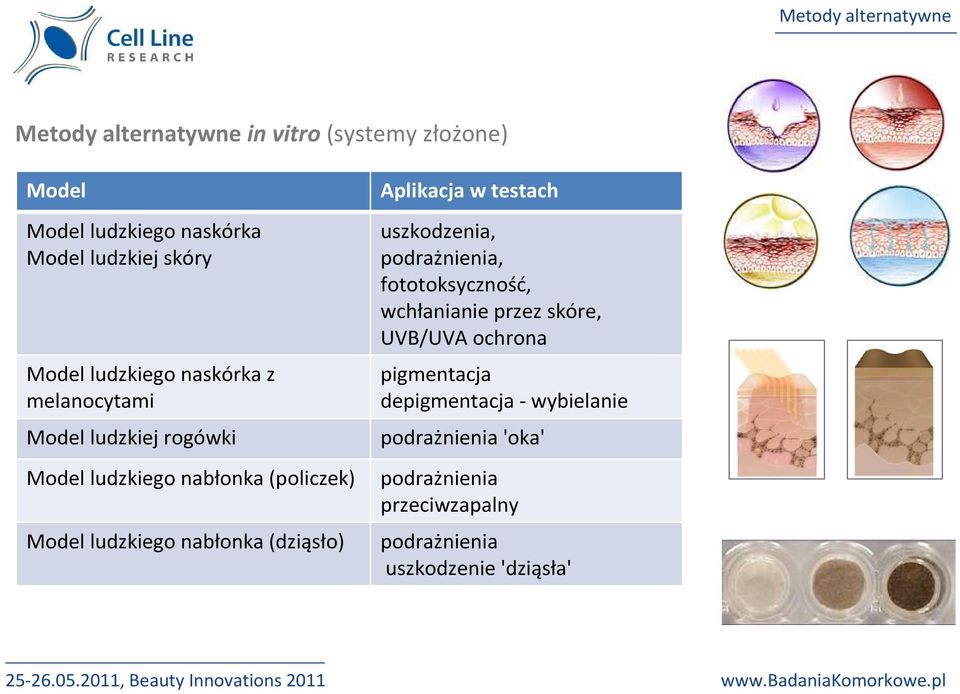 wchłanianie przez skóre, UVB/UVA ochrona pigmentacja depigmentacja -wybielanie podrażnienia 'oka' Model ludzkiego