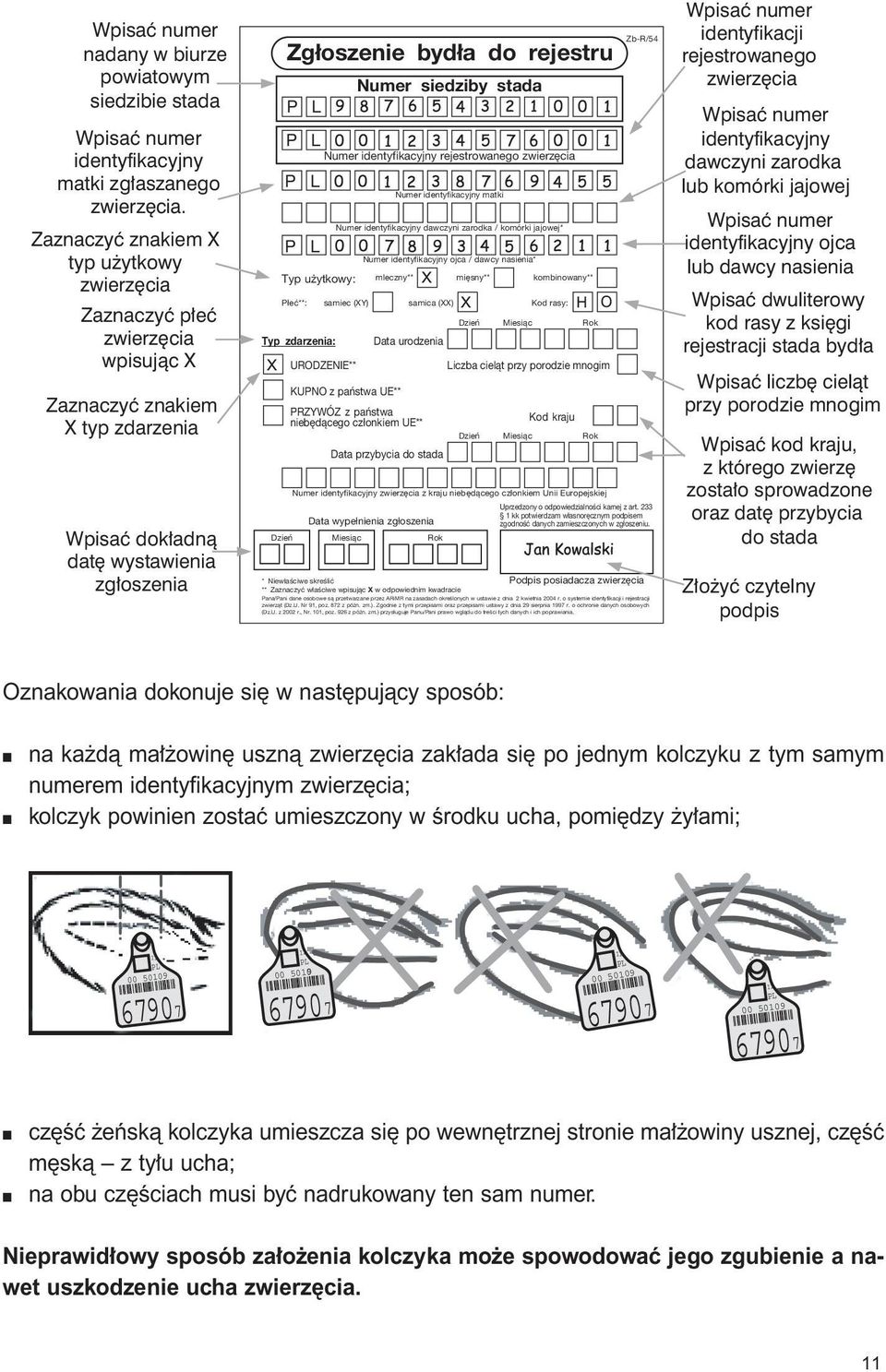 Numer siedziby stada Typ u ytkowy: Numer identyfikacyjny rejestrowanego zwierz cia Numer identyfikacyjny matki Numer identyfikacyjny dawczyni zarodka / komórki jajowej* Numer identyfikacyjny ojca /