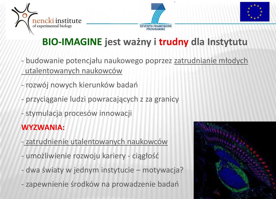 granicy - stymulacja procesów innowacji WYZWANIA: - zatrudnienie utalentowanych naukowców - umożliwienie