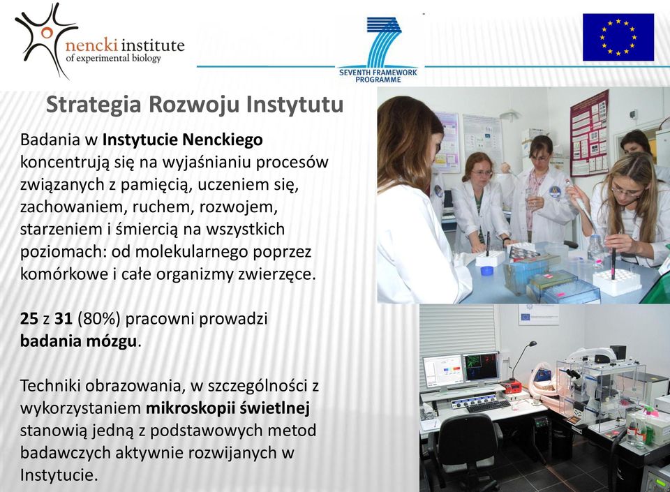 poprzez komórkowe i całe organizmy zwierzęce. 25 z 31 (80%) pracowni prowadzi badania mózgu.