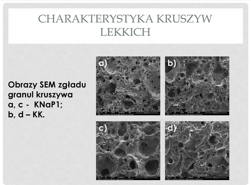 Obrazy SEM zgładu granul