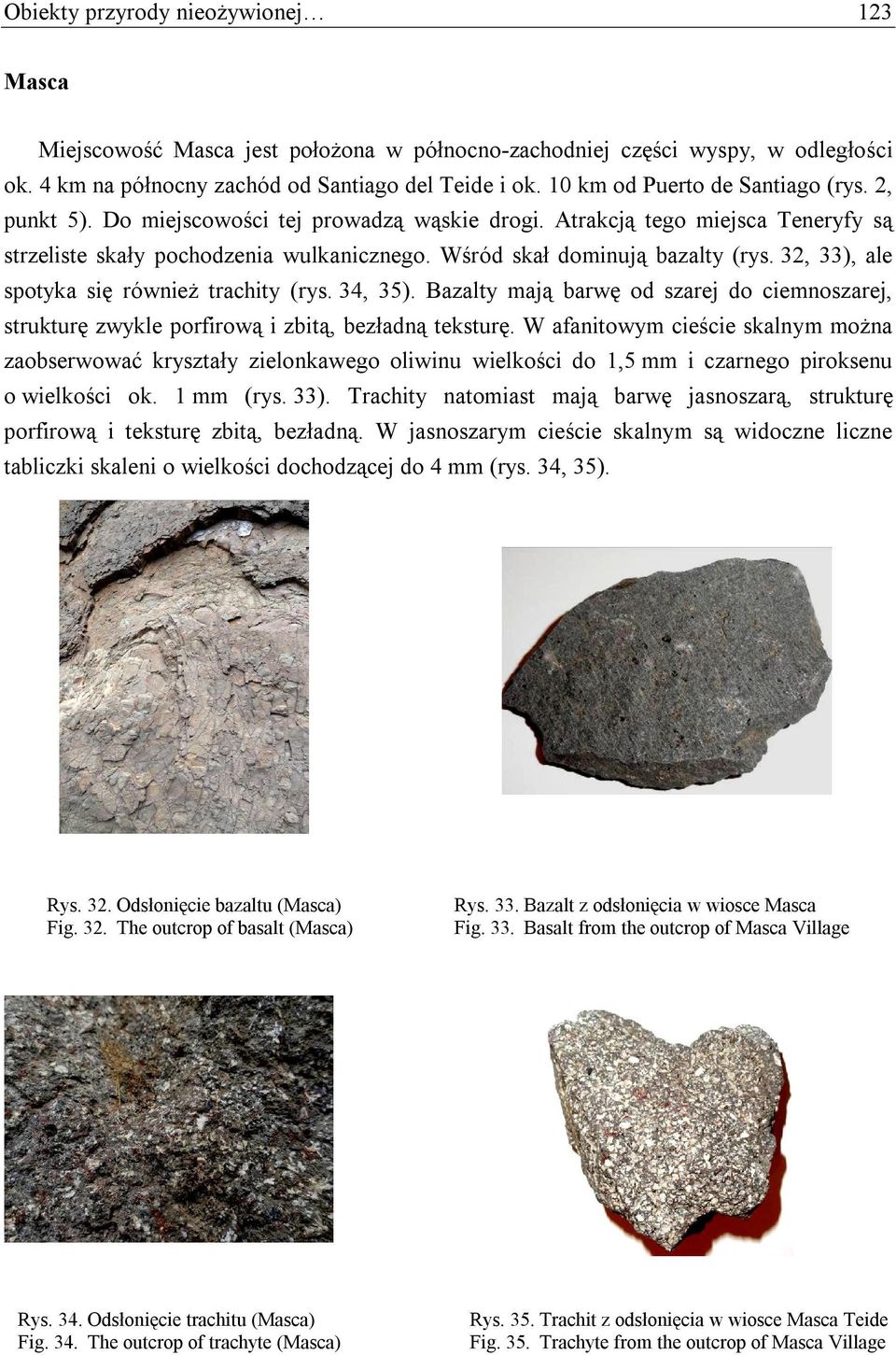 Wśród skał dominują bazalty (rys. 32, 33), ale spotyka się również trachity (rys. 34, 35). Bazalty mają barwę od szarej do ciemnoszarej, strukturę zwykle porfirową i zbitą, bezładną teksturę.