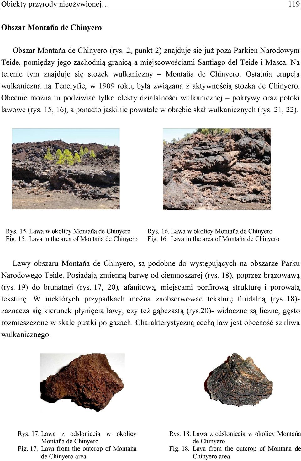 Na terenie tym znajduje się stożek wulkaniczny Montaña de Chinyero. Ostatnia erupcja wulkaniczna na Teneryfie, w 1909 roku, była związana z aktywnością stożka de Chinyero.