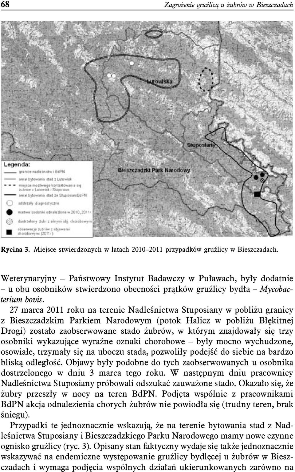 27 marca 2011 roku na terenie Nadleśnictwa Stuposiany w pobliżu granicy z Bieszczadzkim Parkiem Narodowym (potok Halicz w pobliżu Błękitnej Drogi) zostało zaobserwowane stado żubrów, w którym