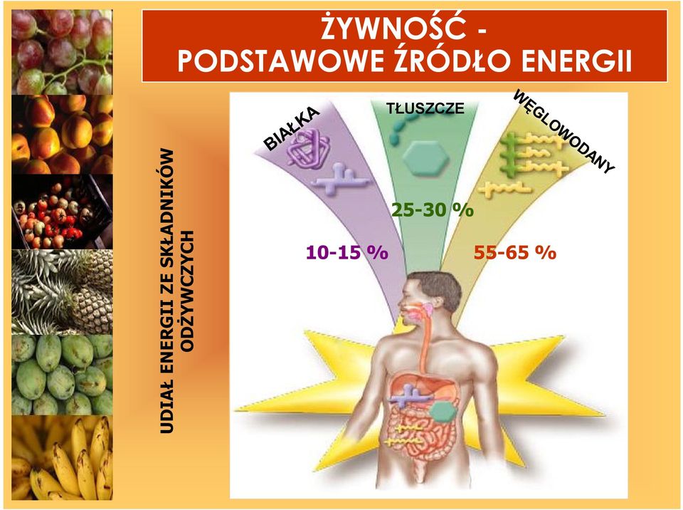 UDIAŁ ENERGII ZE