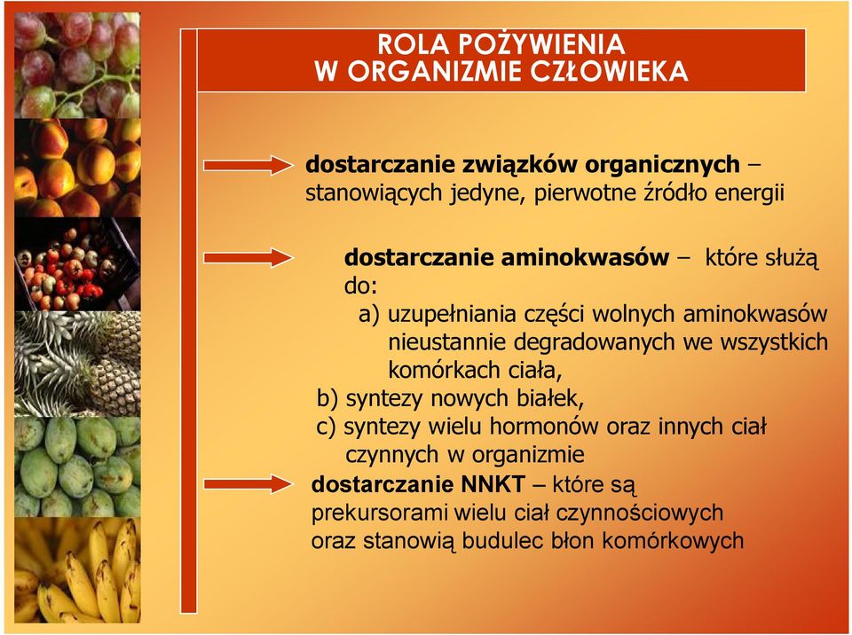 degradowanych we wszystkich komórkach ciała, b) syntezy nowych białek, c) syntezy wielu hormonów oraz innych ciał