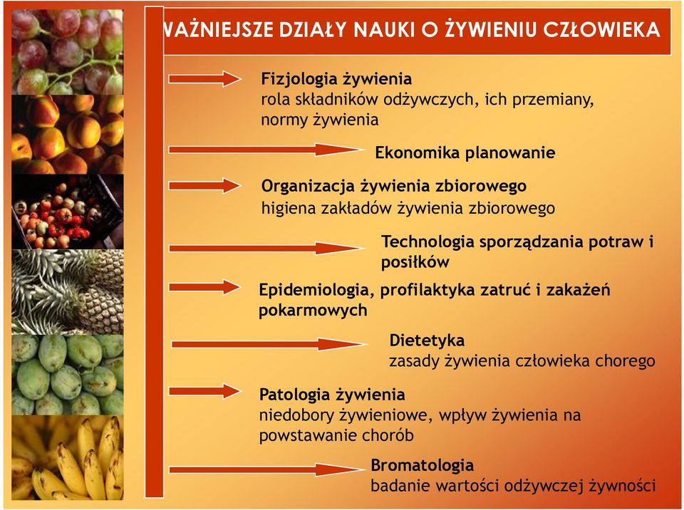 sporządzania potraw i posiłków Epidemiologia, profilaktyka zatruć i zakażeń pokarmowych Dietetyka zasady żywienia