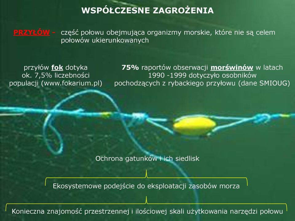 pl) 75% raportów obserwacji morświnów w latach 1990-1999 dotyczyło osobników pochodzących z rybackiego przyłowu (dane