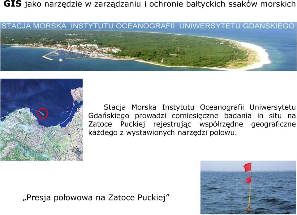 comiesięczne badania in situ na Zatoce Puckiej rejestrując współrzędne
