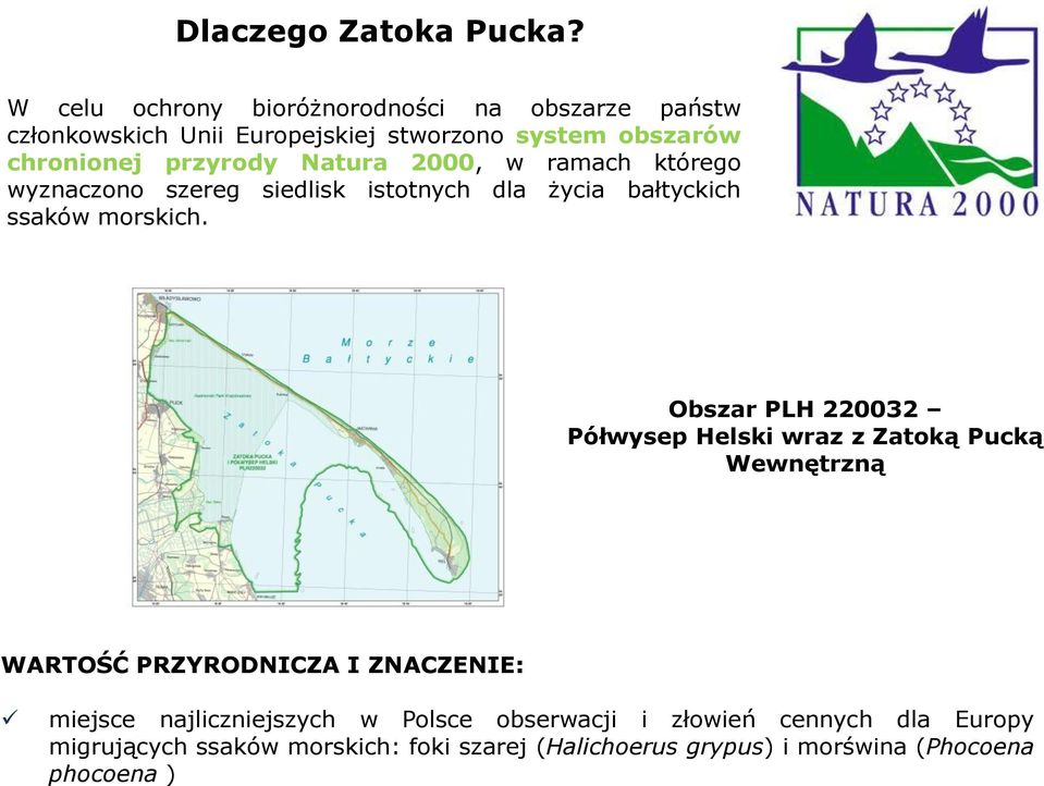 Natura 2000, w ramach którego wyznaczono szereg siedlisk istotnych dla życia bałtyckich ssaków morskich.