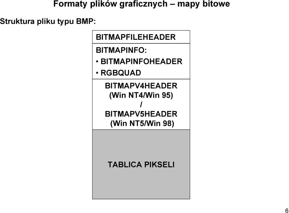 BITMAPINFO: BITMAPINFOHEADER RGBQUAD