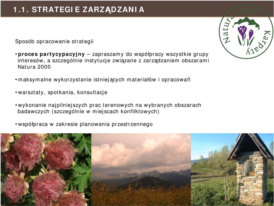 istniejących materiałów i opracowań warsztaty, spotkania, konsultacje wykonanie najpilniejszych prac terenowych na