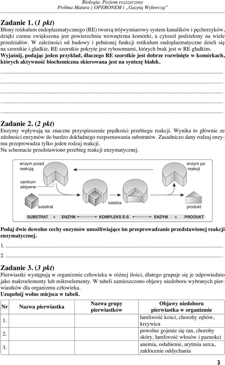 przedzia ów. W zale noêci od budowy i pe nionej funkcji retikulum endoplazmatyczne dzieli si na szorstkie i g adkie. RE szorstkie pokryte jest rybosomami, których brak jest w RE g adkim.