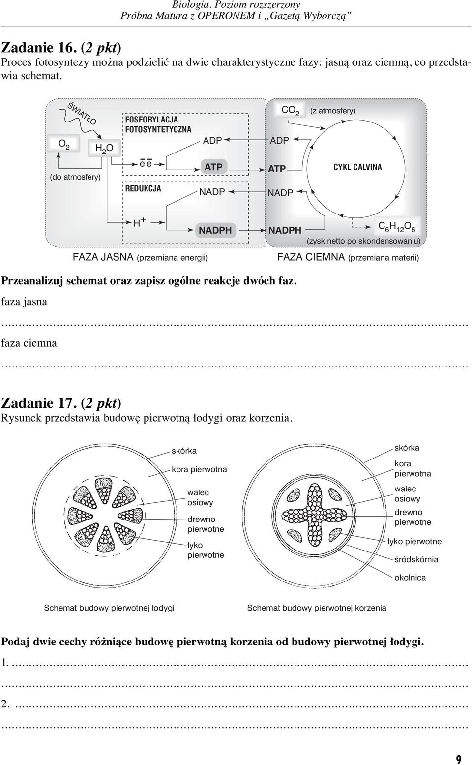 CIEMN (przemiana materii) rzeanalizuj schemat oraz zapisz ogólne reakcje dwóch faz. faza jasna faza ciemna Zadanie 17. (2 pkt) Rysunek przedstawia budow pierwotnà odygi oraz korzenia.