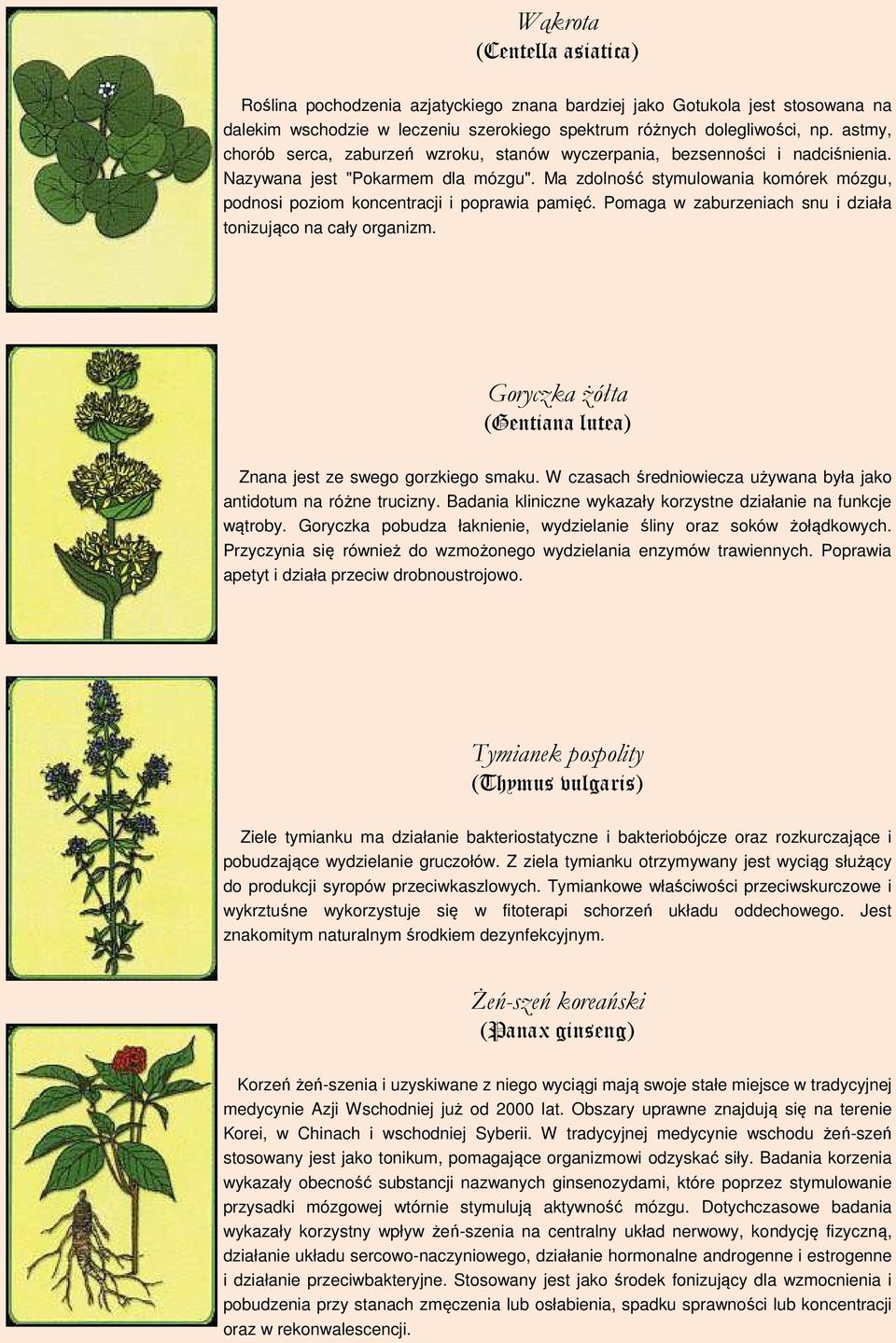 Ma zdolność stymulowania komórek mózgu, podnosi poziom koncentracji i poprawia pamięć. Pomaga w zaburzeniach snu i działa tonizująco na cały organizm.