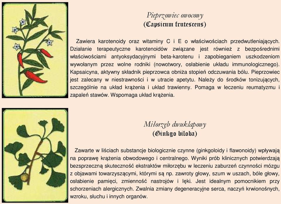 osłabienie układu immunologicznego). Kapsaicyna, aktywny składnik pieprzowca obniża stopień odczuwania bólu. Pieprzowiec jest zalecany w niestrawności i w utracie apetytu.