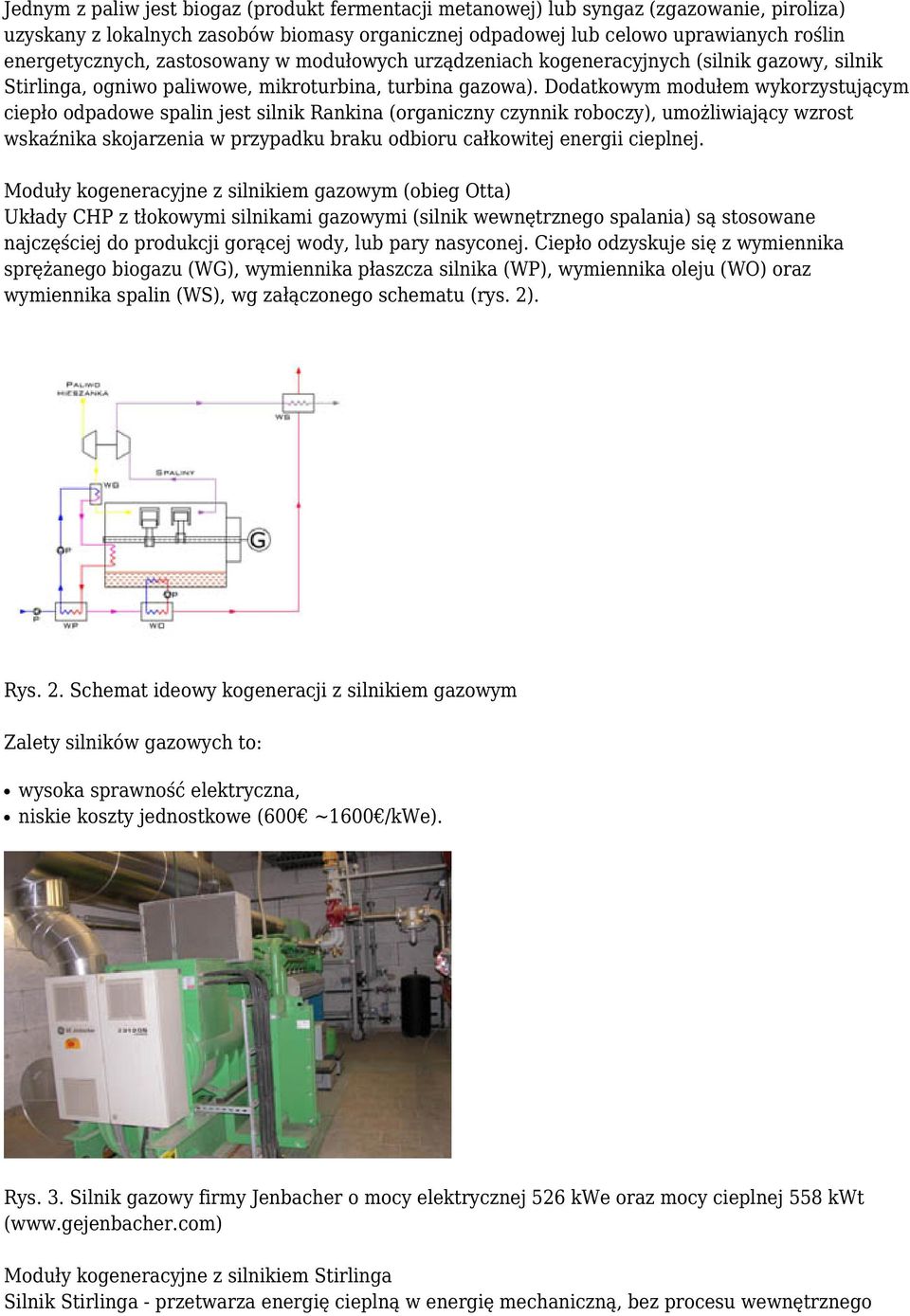 Dodatkowym modułem wykorzystującym ciepło odpadowe spalin jest silnik Rankina (organiczny czynnik roboczy), umożliwiający wzrost wskaźnika skojarzenia w przypadku braku odbioru całkowitej energii